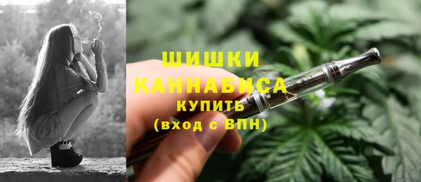 дживик Богородицк