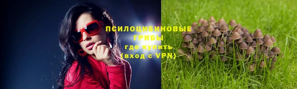 2c-b Бугульма