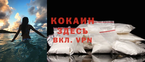 дживик Богородицк