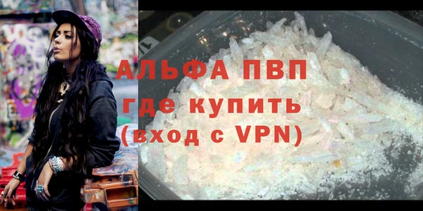 дживик Богородицк