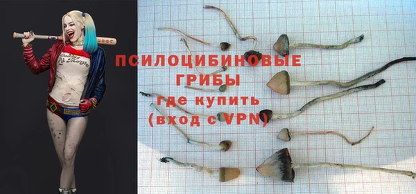 MDMA Premium VHQ Бородино