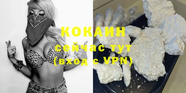 дживик Богородицк