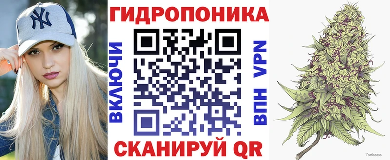 Купить закладки  Глазов  Бошки Шишки SATIVA & INDICA 